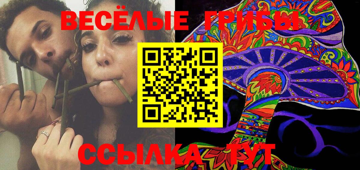 Псилоцибиновые грибы GOLDEN TEACHER Великий Новгород